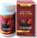 Kuşlar için B-12 200 Tablet