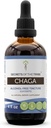 Tribe Chaga Tincture Alkol-Free Extract, Wildcrafted Chaga (Inonotus obliquus) tüm Mushroom (4 FL OZ)