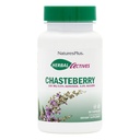 NaturesPlus Herbal Actives Chasteberry - 60 Capsules - Supports Menstrual Well-Being and Reproductive Health - Vegan, Gluten Free - 60 Hizmetler
