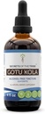 Μυστικά της Φυλής Gotu Kola Βάμμα Αλκοόλ-ελεύθερο υγρό εκχύλισμα, Gotu Kola (Centella Asiatica) Αποξηραμένο Βότανο (4 Fl Oz)