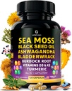 Sea Moss Capsules – 17-in-1 Cooldha Bladderwrack Burdock Root Turmeric Vitamin D3 K2 C for Daily Wellness – Multimineral Supplement for Men & Women – 120 Kont
