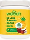 Bizllah So Long Soreness BCAA Toz (Pina Colada Flavored) 30 Hizmet - Hydration Kompleksi ile