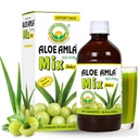 Temel Ayurveda Gooseberry + Aloe Vera Juice - 16.23 Fl Oz (480 ml) | 50-Fifty Herbal Mix for Immunity, Digestion & Skin Health | Amla & Aloe