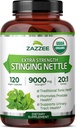 Zazzee USDA Organik Sting Nettle 20:1 Ekstraksiyon, 9000 mg Güçlü, 120 Vegan Capsules, 4 Ay Supply, Tempd, Standardized 20X Extract, Sertifikalı Organik, 100% Vegetarian, All-Doğal, Non-GMO