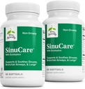 Terry Φυσικά SinuCare - Bronchial Wellness Συμπλήρωμα υποστήριξης - Healthy Sinus Aid - Συμπλήρωμα διατροφής για την υποστήριξη υγιεινών πνευμόνων - 60 Softgels (2 Pack)
