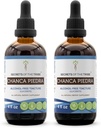 Tribe Chanca Piedra Alkol-Free Tincture Extract, Chanca Piedra (Phyllanthus niruri) herb Tincture Supplement (2x4 FL OZ)