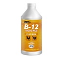 Poultry için NUTRILINE B-12 - Rooster, Hens, Chicken, Vitamin Recovery Sıvı 16 onzas