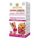 HYLEYS Tea Garcinia Cambogia Green Tea with Pomegranate Flavor - 25 Çay Çanta