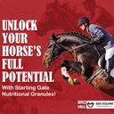 SBS Equine Starting Gate Granules - Horse Stomach Ulcer Treatment & Ulcer Relief, Horse συμπλήρωμα Formula Scoop για τη διατροφή, Perfect Prep ως συμπλήρωμα Hoof (5 Gallon)