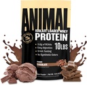 Ζώων Whey Isolate Protein Powder - Φορτωμένο για την προ & μετά την προπόνηση οικοδόμος μυών και την αποκατάσταση με Digestive Ένζυμα για άνδρες & γυναίκες - 25g πρωτεΐνη, μεγάλη γεύση, χαμηλή ζάχαρη - σοκολάτα 10 lbs