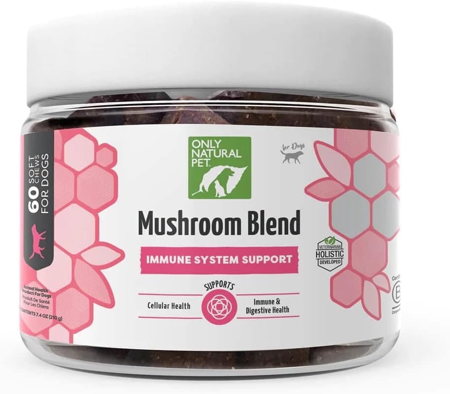 Μόνο Φυσικό Mushroom Mushroom συμπλήρωμα υποστήριξης ανοσοποιητικού συστήματος για τα σκυλιά - ενίσχυση υγιεινών κυττάρων, Digestive, & λειτουργία του ήπατος - πολυβιταμίνη Beta-Glucan & αντιοξειδωτικό - Bacon Flavor 60 μαλακά μάσημα