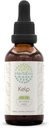 Kelp B60 Alkol-Free Herbal Extract Tincture, Tempd Liquid Drops Natural Kelp (Ascophyllum nodosum) (2 fl oz)