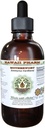 Motherwort Alcohol-Free Liquid Extract, Motherwort (Leonurus Cardiaca) Dried Herb Glycerite Natural Herbal Supplement, Hawaii Pharm, USA 2 oz