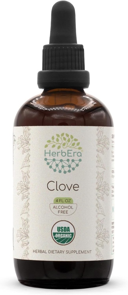 HerbEra Clove B120 USDA Organik Tincture | Alkol Özgür Tür, Yüksek Lisans Herbal Drops | Sertifikalı Organik Clove (Syzygium Aromaticum) kuru Çiçek Buds (4 fl oz)