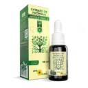 Apis Flora Green Propolis Extract 70-30 Ml Γραμμή πρόπολης