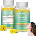 2 Pack Mullein Gummies - εκχύλισμα φύλλων Mullein για τους πνεύμονες, Lung Detox Καθαρίστε για τους καπνιστές, Mullein Lung συμπλήρωμα υποστήριξης για την υποστήριξη του ανοσοποιητικού, Mucus Relief,120 ζάχαρη δωρεάν Vegan Gummies
