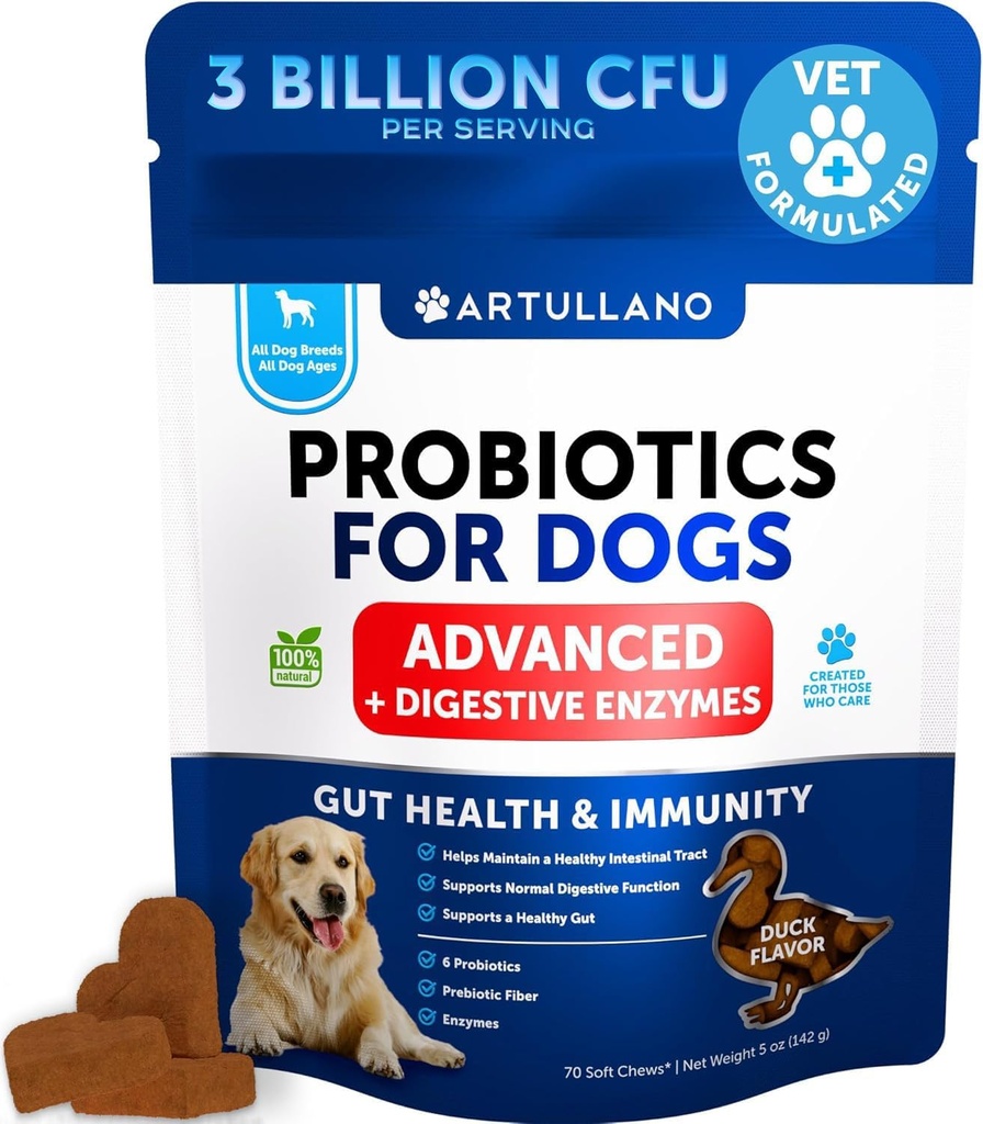 Köpekler için Probiyotikler - Gut Health, Itchy Skin, Allergies, Immunity, Yeast Balance - Dog Probiyotiks and Digestive Enzymes with Prebiyotiks - Diarrhea, Gas - 70 Probiyotik Chews for Dogs