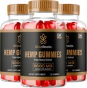 (3 Pack) Ρίζες Bliss Gummies 300 mg ανά Gummy, BlissRoots Gummies, Bliss Roots, Bliss Roots Gummy, Bliss Roots Gummies, Organic BlissRoots Gummies, Bliss Roots Supplement Gummy, 90 Gummies 3 Μήνες