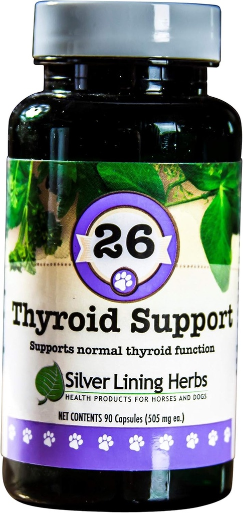 Silver Lining Herbs Yourroid Support for Dogs – Natural Herbal Supplement to help maintain health Thyroid Function, Breathing & Kilo – 90 Capsules