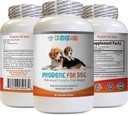 Köpekler için probiyotikler çiğnemek - Köpek PROBIOTICS - Bad Breath and Passing Gas Solution - Oral Health - fos Formula - 1 Şişe (60 Tedavi)