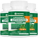 Liposomal Artemisinin Tamam 1000 mg, Sweet Wormwood, 200 mg Quercetin Phytosome, Antioksit 180 Capsules için maksimum Absiyon