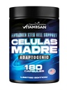 VITAMISAN Celulas Madres 180 Capsules - Stem Hücre Blue Green Algae - GMO -Gluten Free AFA -Celula Madre Supplement - Lion's Mane Beta Glucan Supports Health Aging & Supports Immune Spirulina.