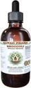 Hawaii Pharm Broccoli Alkol Özgür Sıvısı, Organik Broccoli (Brasica Oleracea) Tohum Glycerite Natural Herbal Supplement 4 ozit
