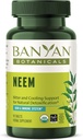 Banyan Botanicals Neem Tablets – Organic Neem Leaf (Azadirachta Indica) – Υποστηρίζει τη φυσική αποτοξίνωση, το υγιές δέρμα, και την ανοσοποιητική υγεία * – 90 δισκία – Μη ΓΤΟ Βιώσιμα πηγάζει Vegan