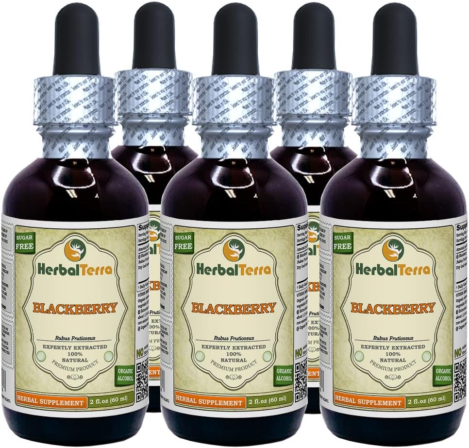 BlackBerry (Rubus fruticosus) Tincture, Organik kuru Sıvı Tür (Brand Name: HerbalTerra, Proudly Made in USA) 5x2 fl.oz (5x60 ml)