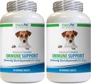Antivirüs Immune Bites for Dogs Lamb Flavor - Dog Immune System Support - Liver and Kidney Health - Güçlü ANTIOXIDANTS - Natural Formula - Türkiye Tail Capsules Dog - 2 Şişeler (120 Tedaviler)