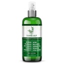 All Natural Eczema Tedavisi- Psoriasis Tedavisi - A All-in-One Solution for Acne, Dermatitis, Rosacea, Cold Sores, Bites, Zehir Ivy - Anti-Itch Spray for Itchy Skin Relief 4oz