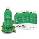 Chlorophyll Water – Sıvı Chlorophyll 6Pack (16.9oz) | Glowing Skin, Anti-Aging & Oksijen Boost | Vitamin A, B12, C, D | Vitamin Su | Temiz Etiket | Hydration Support