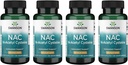 Swanson NAC - N- Acetyl Cysteine - Συμπλήρωμα 600 mg 100 Καψάκια (4 Συσκευασία)