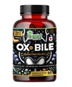 Humming Herbs Ox Bile, Digestive Enzymes & Pre/Probiyotiks 90 Veg Caps Cholic Acid, Inulin, Betainel HC, Peppermint, Bromelain Sağlıklı Digestion & Nutrient Abvitamin - Bile Salts Supplement