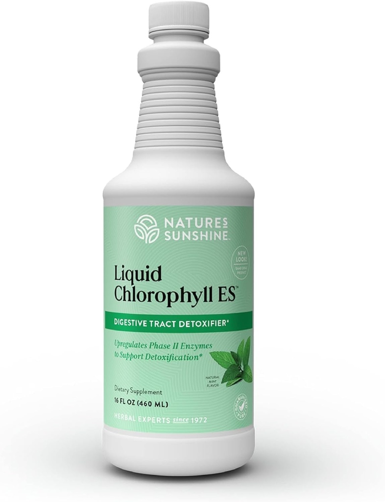 Nature's Sunshine Liquid Chlorophyl Extra Strength - Ανοσία Υποστήριξη, Detox & Cleanse, Chlorophyl Liquid Drops with Spearmint Oil, Natural Energy Boost, Εσωτερικό Αποσμητικό - 16 Fl Oz