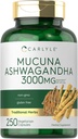 Carlyle Mucuna Ashwagandha ile | 3000 mg | 250 Capsules | Mucuna Pruriens Supplement | Vegetarian, Non-GMO, Gluten Free