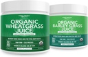 Organik Buğdaygrasss Juice Plus Organic Barley Grass Juice - USA Grown in Volcanic Utah Soil, Hem Raw Form & 5.3 oz