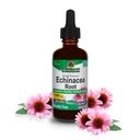 Nature's Answer Echinacea Extract | Sağlıklı Immune System | Vegan, Gluten-Free, Alkol-Free, Non-GMO & Kosher Sertifikalı | 2oz