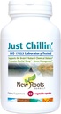 YENİ ROOTS HERBAL Vitamin B Supplement ve L-Theanine (60 Capsules) Contains B1, B2 ve B12