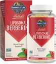 Life Liposomal Berberine ve Kromium Picolinate Zaten Sağlıklı Kan Şekeri, Glucose Metabolism ve Cholesterol - Kolay Digestion için Probiyotikler -Non GMO, Gluten Free, Kosher, 30 Hizmet