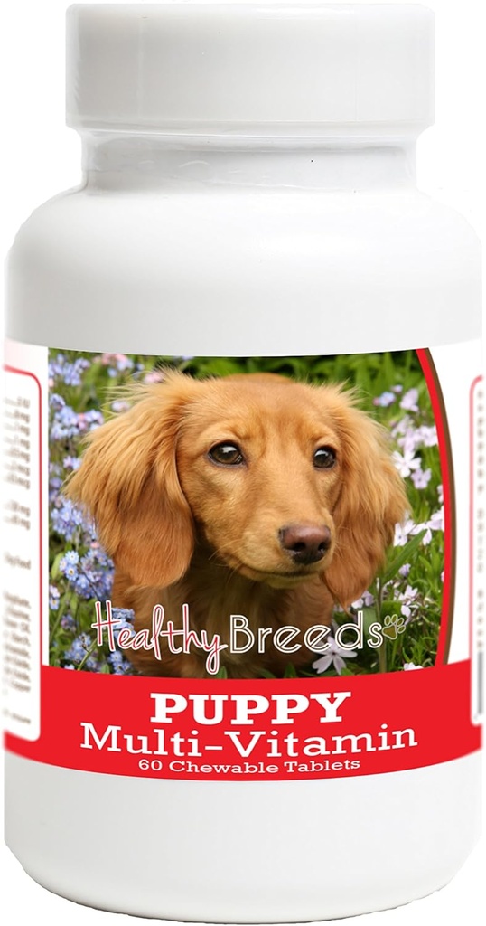Υγιείς Φυλή Dachshund κουταβάκι σκυλί πολυβιταμίνη Tablet 60 Count