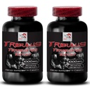 Αύξηση της σεξουαλικής κίνησης - TRIBULUS TERRESTRIS EXTRACT - Tribulus terrestris εκχύλισμα για την πηγή ενέργειας, Sex drive χάπια για άνδρες και γυναίκες, Sex drive χάπια, Libido ενισχυτής - 2 μπουκάλια 180 δισκία