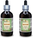 Maitake (Grifola Frondosa) Glycerite, Organic Dried Mushroom Alcohol-Free Liquid Extract (Brand Name: HerbalTerra, Proudly Made in USA) 2x4 fl.oz (2x120 ml)