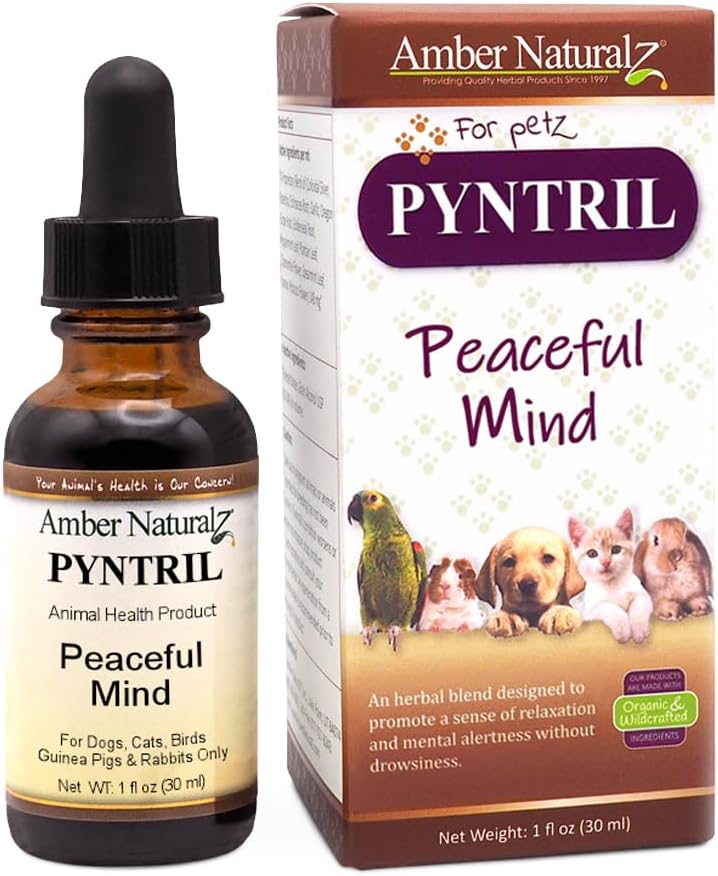 AMBER NATURALZ Pyntril Peaceful Mind Herbal Supplement for Dogs, Cats, Birds, Guinea Pigs ve Tavşanlar | Herbal Pet Supplement for Relaxation | 1 Akışkanlar Ounce Glass Şişe | ABD'de Üretildi