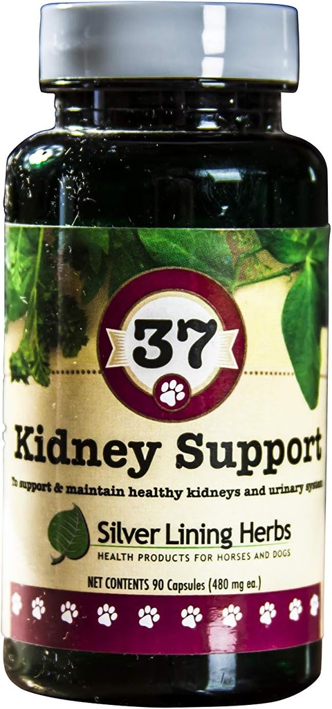 Silver Lining 37 Canine Kidney Support - Herbal Dog Supplement - Normal Kidney & Bladder Function için Doğal Destek - 90 Capsules