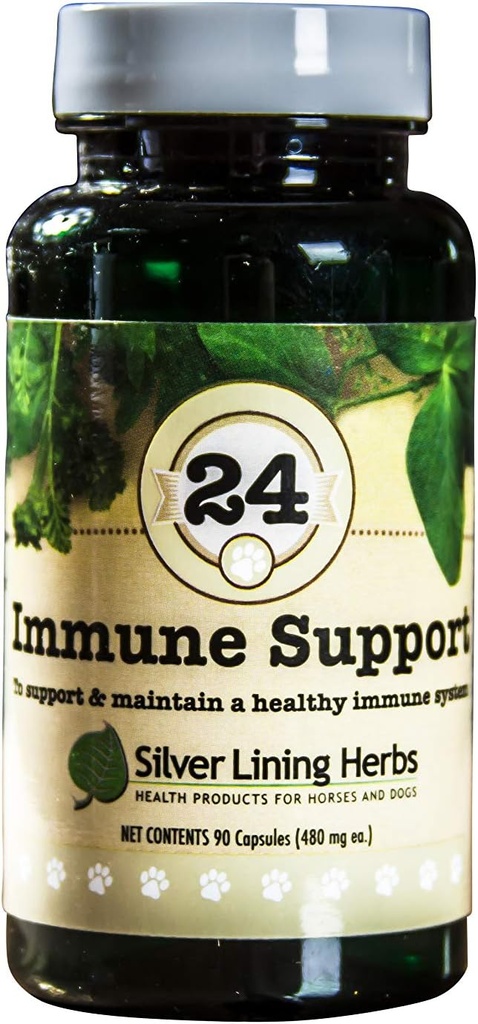 Silver Lining Herbs Dog Immune Support Supplement – Natural Herbal Dog Vitaminleri – Güçlü Immune Savunma, Vitality & General Wellness – 90 Capsules