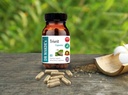 Κάψουλες Trivrit του DR WAKDE (Nishottar, 60 Veg Caps, φυτικό συμπλήρωμα, Ayurvedic Herb, όλα φυσικά, Vegan)