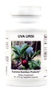 Yüksek Beslenme Uva Ursi, 60 Pure Bearberry Vegetarian Capsules