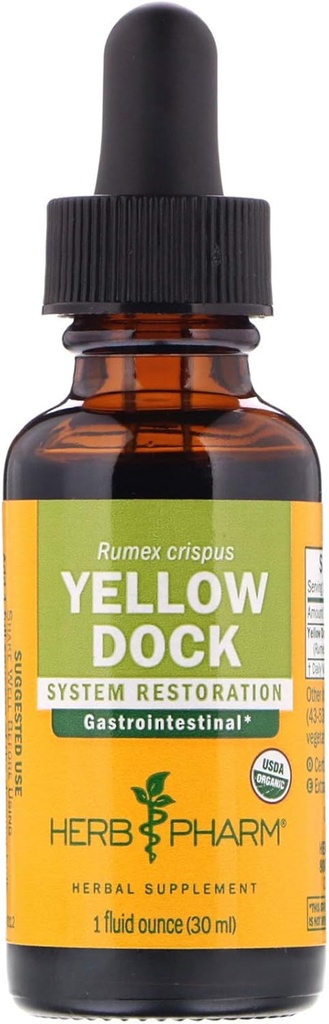 Βότανο Pharm Yellow Dock Liquid Extract για υποστήριξη Digestive System - 1 ουγγιά