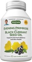 ANDREW LESSMAN Evening Primrose and Black Currant Tohum Oil 360 Softgels - Soothes Physical Discomfort and Mood Swings For Menstrual Cycle, with Gamma-Linolenic, Omega-6 Fatty Acids, Nomixs